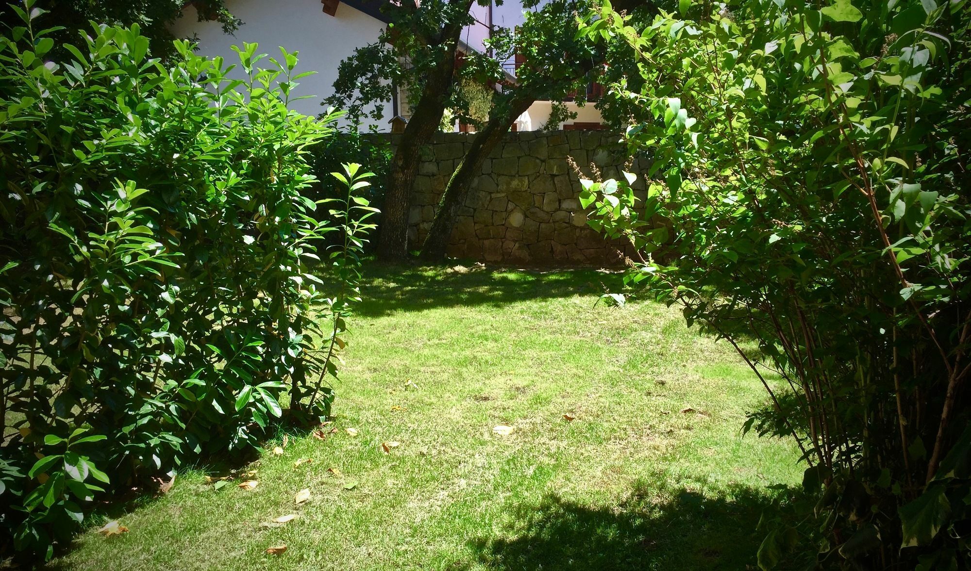 Padriciano Suite Dış mekan fotoğraf